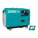 Silent Diesel Generator TP250003